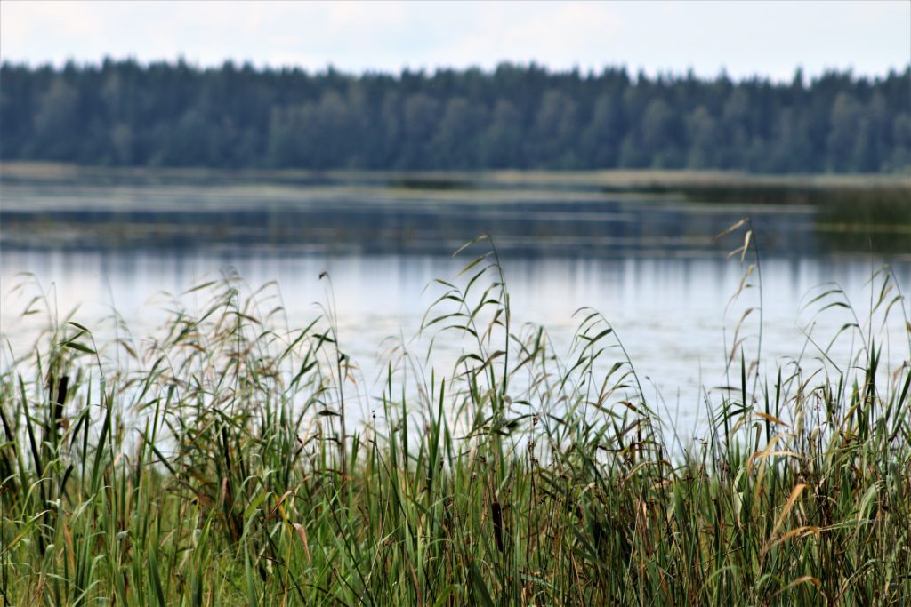 Koskeljärven Uhrattu