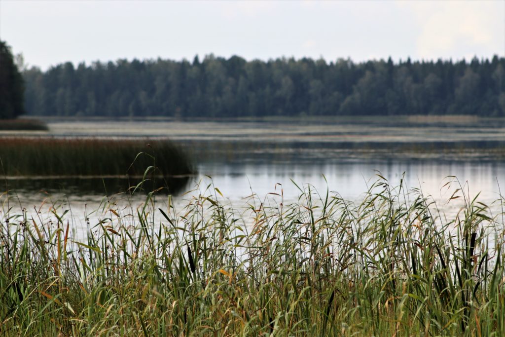 Koskeljärven Uhrattu