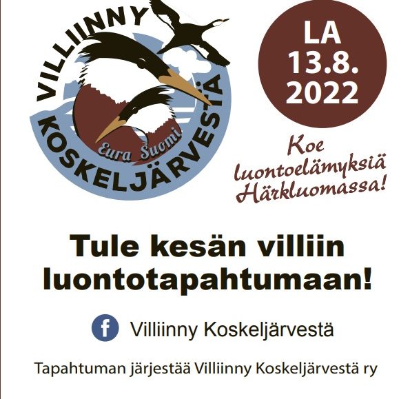 Lukee tapahtuman tiedot ja Villinny koskeljärvestä loho missä kurkia lentää taivaalla